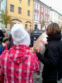 IMG 20161111 111406