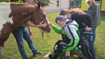 WP 20160921 11 18 19 Pro